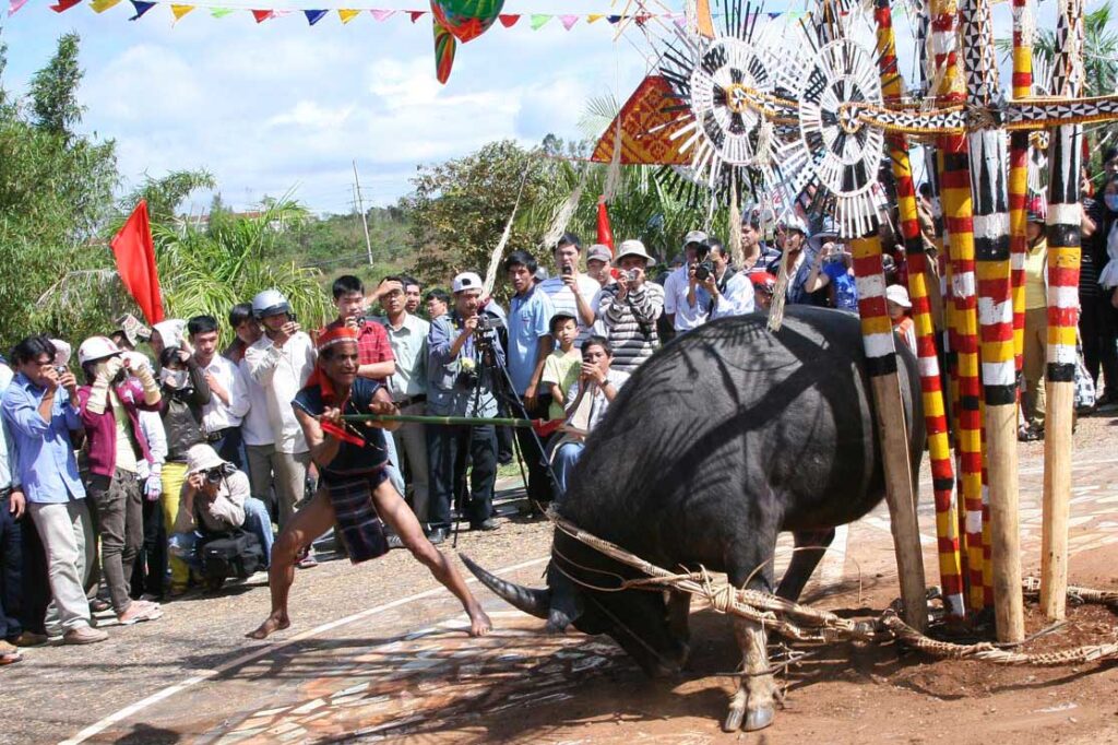 Lễ Hội đâm trâu tại gia Lai