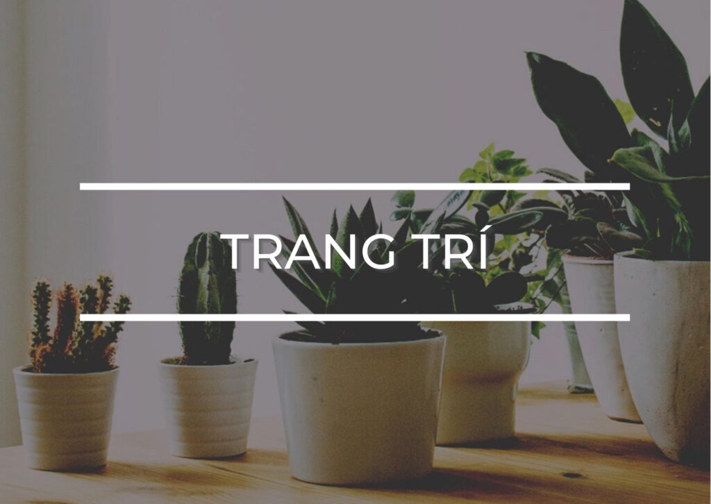 vật dụng trang trí Gia Lai